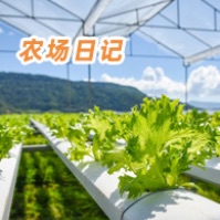 农场日记